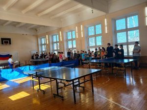 Настольный теннис